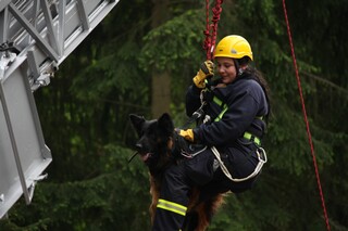 Höhenrettung mit der Hundestaffel der Feuerwehr Frankenthal